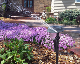 Micro spray irrigation by Landscape Consultants