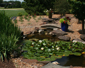 Ornate landscaping by Landscape Consultants