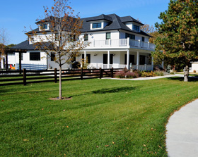 Turf installation by Landscape Consultants