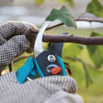 Pruning shears